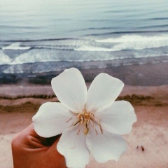 Динара Байжигитова, 07.10.1994, Караганда