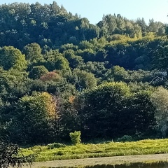 Наташа Воронина, 11.12.1978