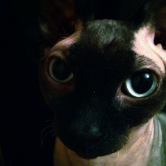 Саша Плюхин, 03.04, Москва