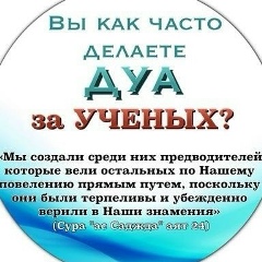 Мухаммад Янтузов, Алматы