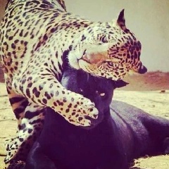 Карина Меркулова, 10.08.1992, Санкт-Петербург