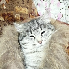 Федор Юрьевич, 14.02.1988, Чебоксары