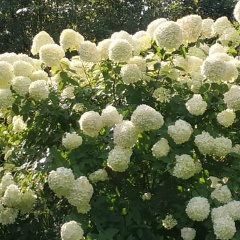 Екатерина Ананичева, Москва