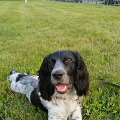 Анна Ништ, 16.09, Санкт-Петербург