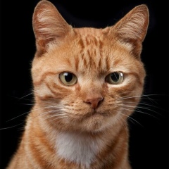 Юрий Исайченко, 20.11, Екатеринбург