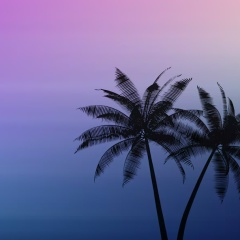 Хусейн Ибрагимов, 07.08, Москва