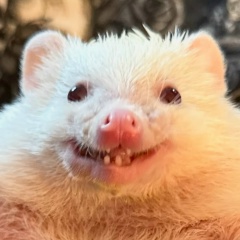 Александр Алексеевич, Нижний Новгород