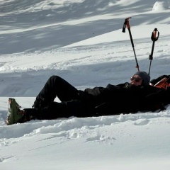 Дмитрий Тришин, Новосибирск