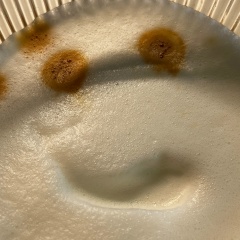 Arto Kelner, Таллин