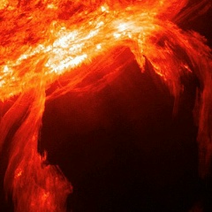 Денис Сергеев