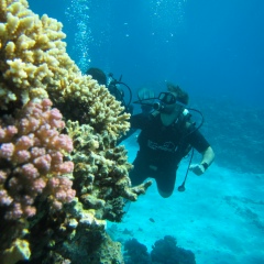 Пятсотметраф Краснайтряпки, 11.09, Кишинев