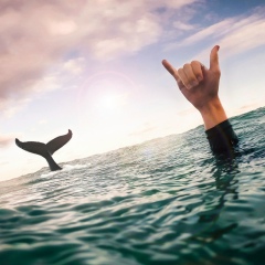 Данил Торопов, 24.01, Иваново