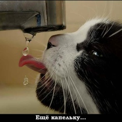 Jordan Sallivan, 23.11, Шатура