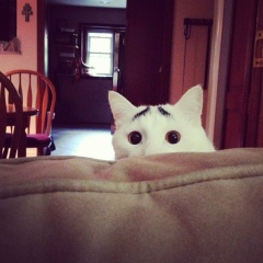 Айрат Хадеев