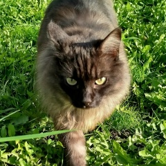 Марина Новожилова