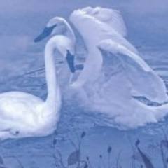 Мария Богданова, 16.02.1988, Ижевск