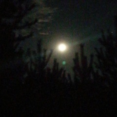 Наталья Ильина, Екатеринбург