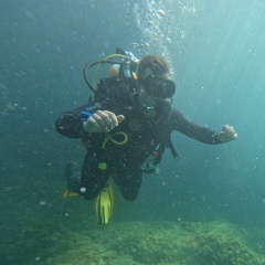 Алексей Груздев, Владимир