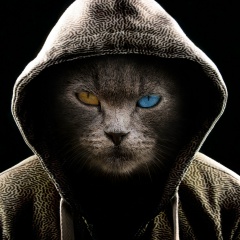 Александр Уткин, 25.12.1989, Пенза