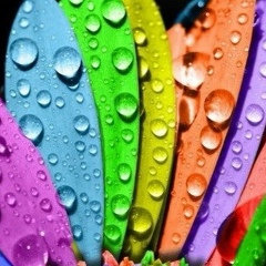 Светлана Стрижникова, 19.07, Люберцы