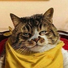 Владислав Лупин, 06.04