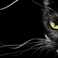 Людмила Недилько, 11.03.1985, Экибастуз