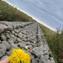 Виктория Магденко, 24.09.1987, Одесса
