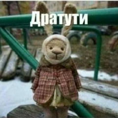 Николай Конограй, Москва