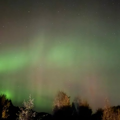 Надежда Буянова, Полярный