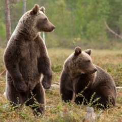 Руслан , 29.12.1980