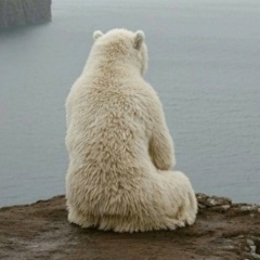 Константин Бахарев, 24.03.1939, Иркутск