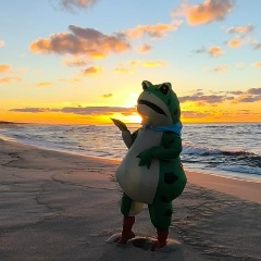 Александра Янковская, Калининград