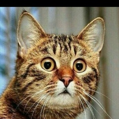 Юлия Серова, 24.11.1986, Белгород