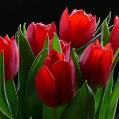 Алия Абдукаримова, 27.12.1980, Алматы