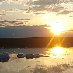 Эдуард Галиев, 15.06, Печора
