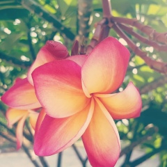 Светлана Афонина, 05.10, Санкт-Петербург