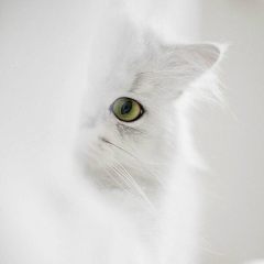 Мария Мохова, 07.02, Москва