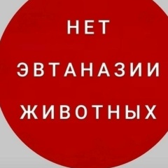 Юлия Ашурбекова, 28.02