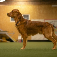 Юлия Авдиенко