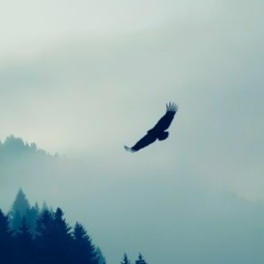 Андрей Бондаренко, 05.09, Москва