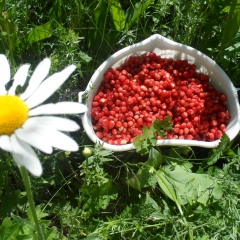 Людмила Юминова