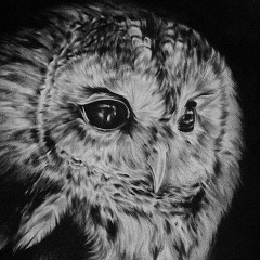 Татьяна Блеканова, 09.04, Санкт-Петербург