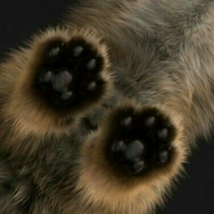 Алексей Суханов, 09.03, Санкт-Петербург