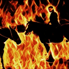 Михаил Стрижков, 05.12.1979, Санкт-Петербург