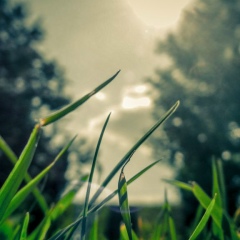 Асель Найзабекова, 13.01.1985