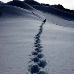 Саша Шарилина, 26.06.1990, Москва