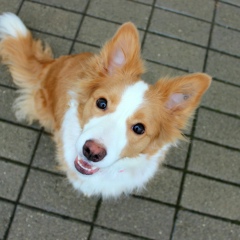 Даша Косенко, 19.10, Междуреченск