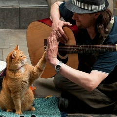 Заур Зауров, 08.02, Махачкала