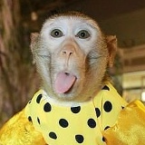 Alyona Lee, 18.07.1978, Алматы