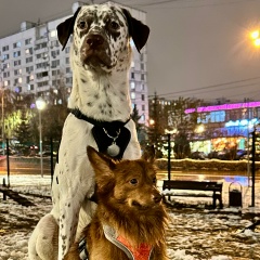 Ольга Лавриненко, 15.06, Москва
